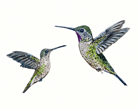 Hummingbird mom and baby