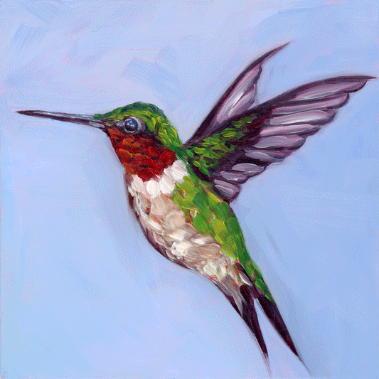 Ruby Throated Hummingbird