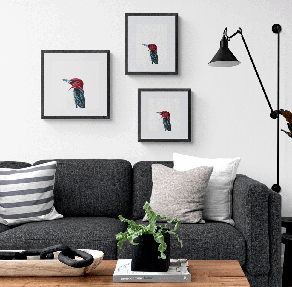 Red Headed Woodpecker