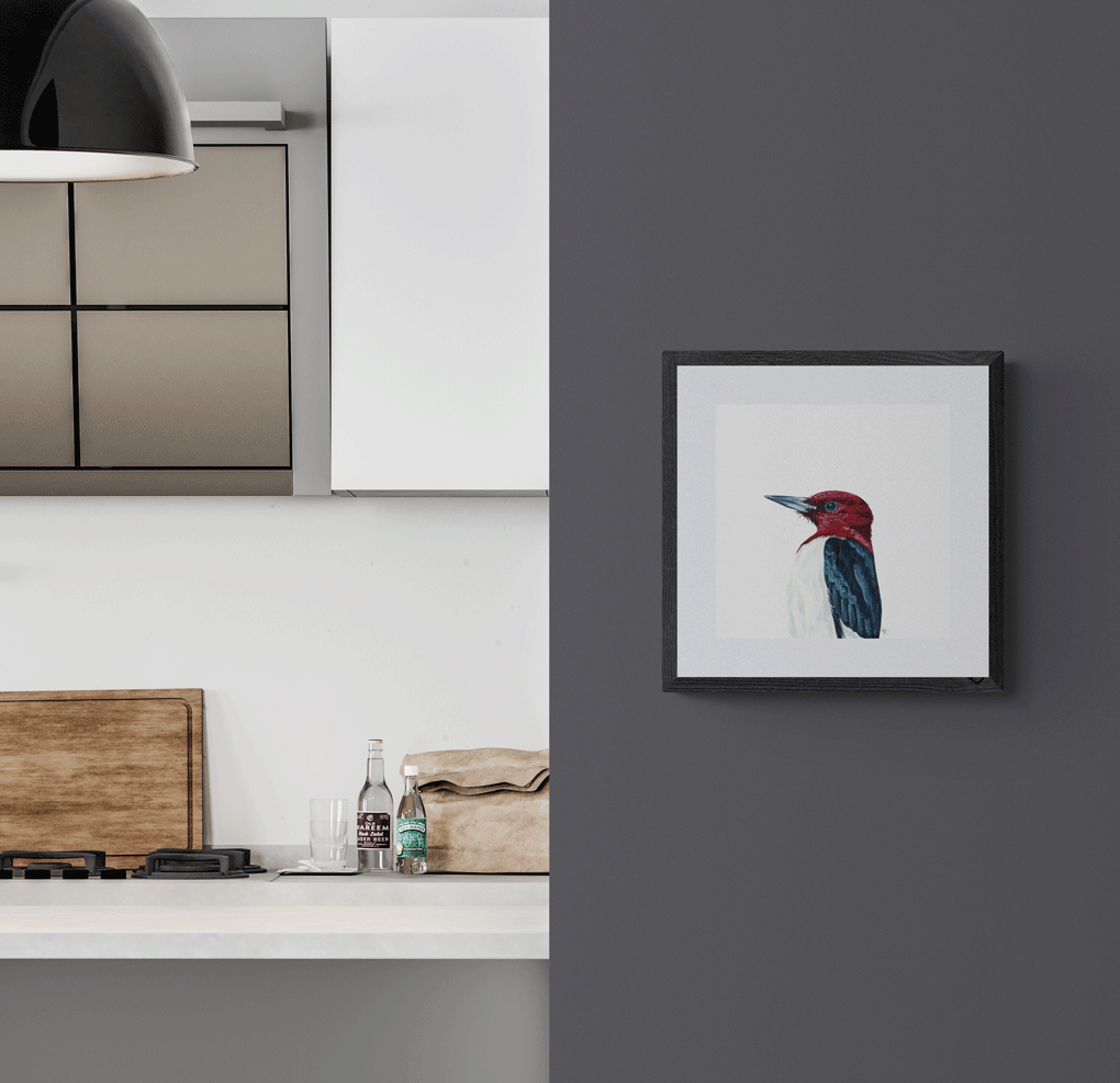 Red Headed Woodpecker