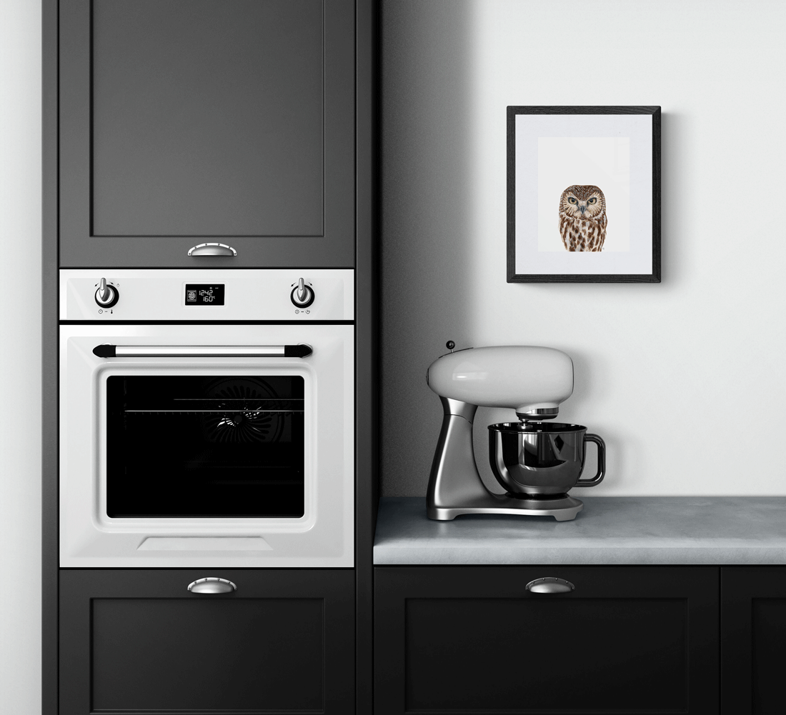 Northern Saw Whet Owl