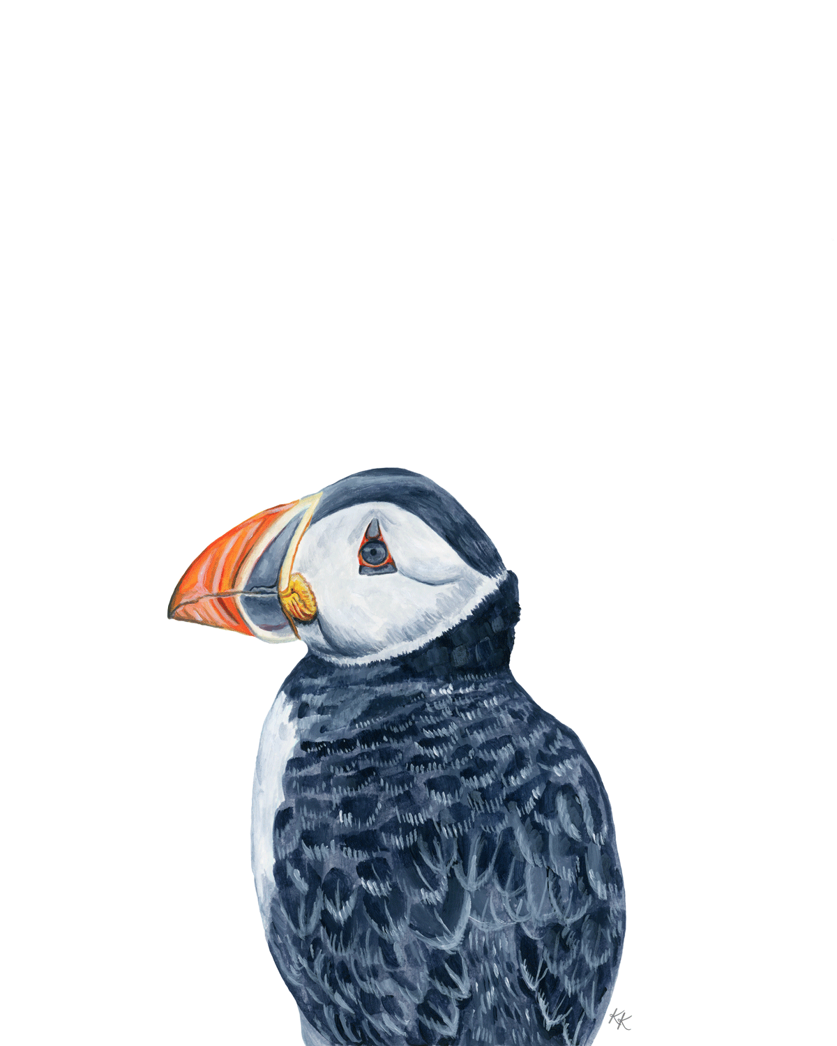 Atlantic Puffin