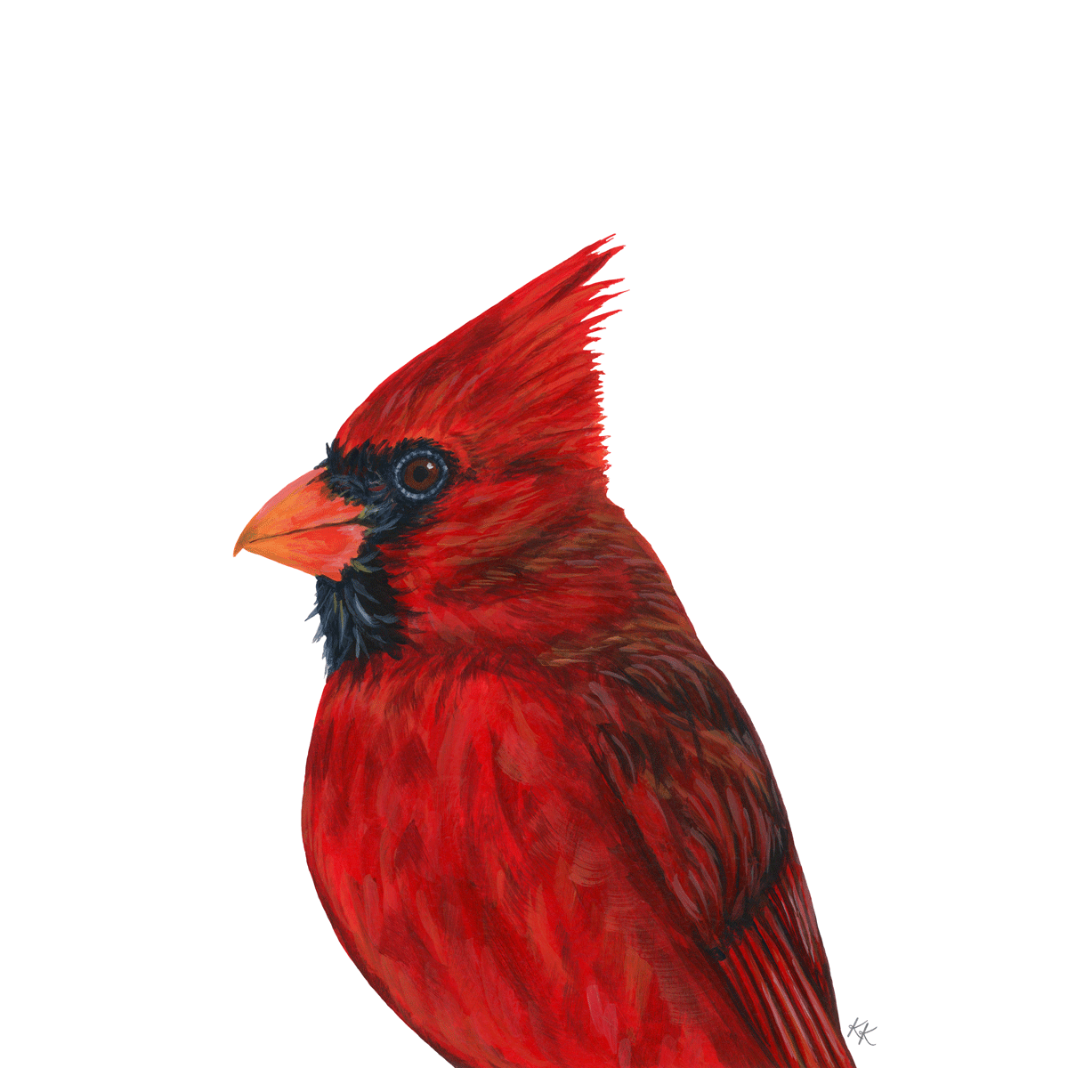 Cardinal