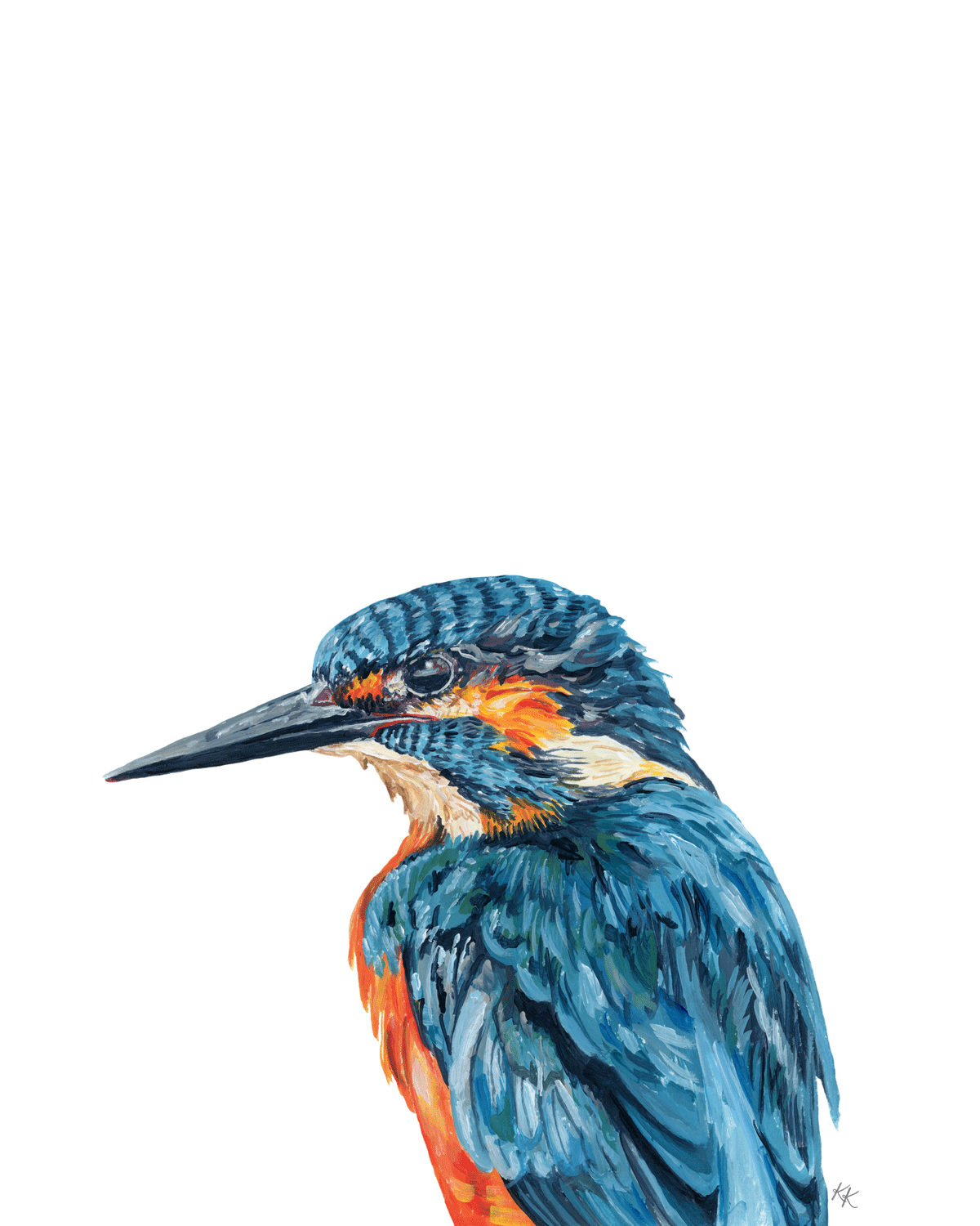 Common Kingfisher
