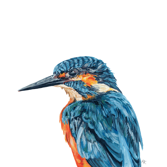 Common Kingfisher