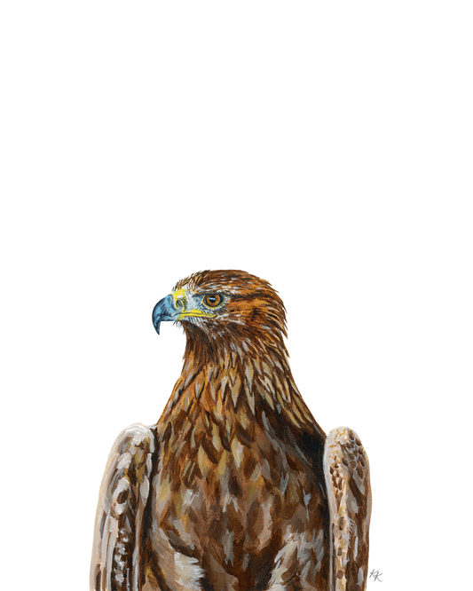 Golden Eagle