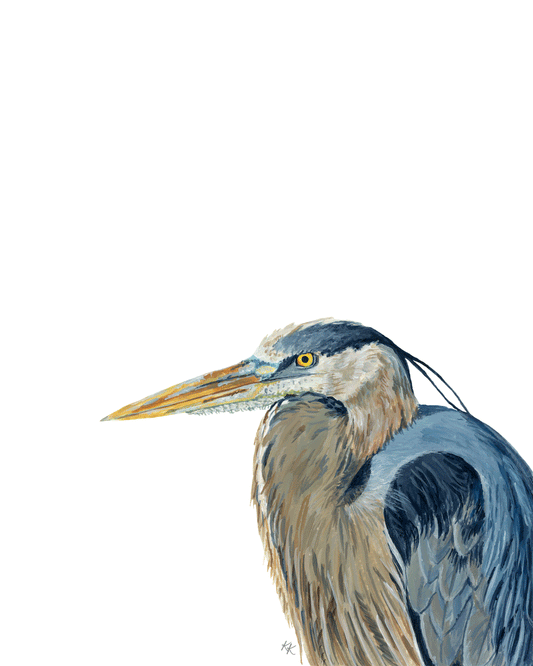 Great Blue Heron