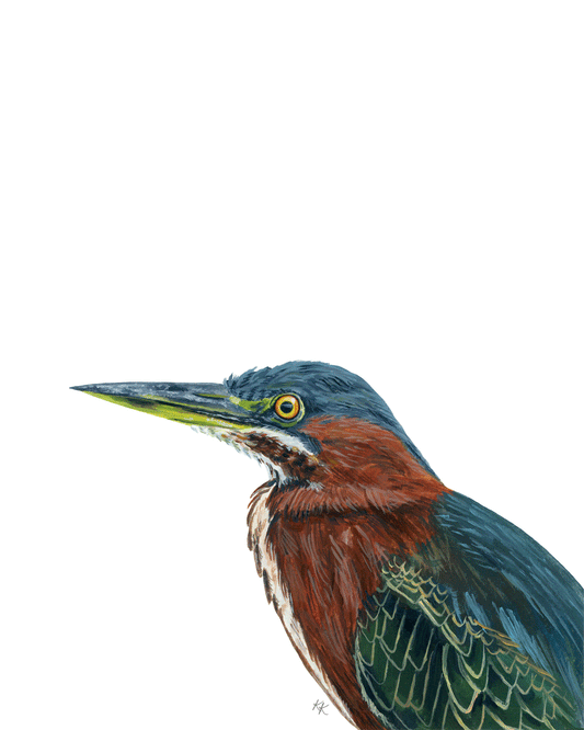 Green Heron