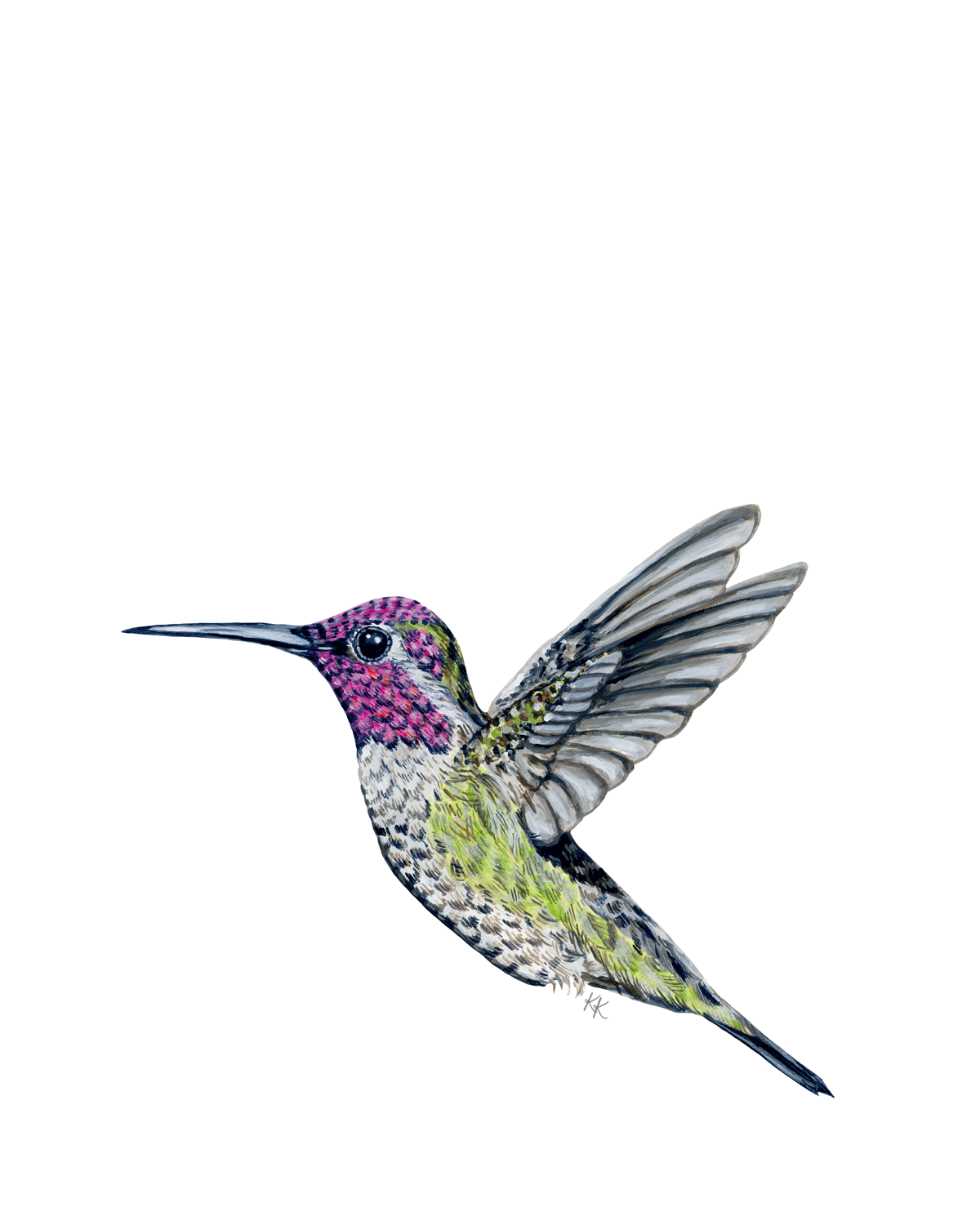 Hummingbird