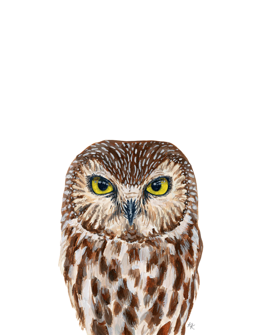 Northern Saw Whet Owl